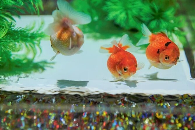 Tokyo Art Aquarium Museum E-Ticket With Optional Tokyo Metro Pass - Highlights of the Art Aquarium Museum
