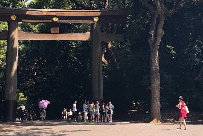 Tokyo Half-day Customized Private Tour - Cultural Immersion With a Private Guide