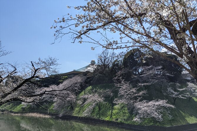 Tokyo Imperial Palace Higashi Gyoen Wellness Tour With Lunch - Enjoying a Delightful Lunch