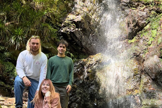 Tokyo Seasonal Peaks Discovery - Traveler Testimonials