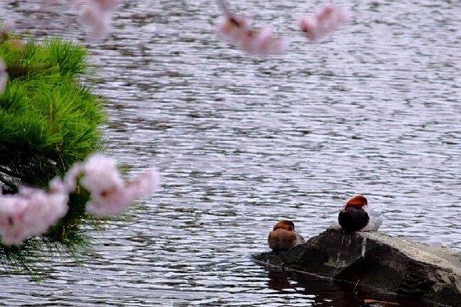 Tokyo Tsukiji & Hamarikyu Gardens Wellness Tour – Walk and Relax - What to Expect on the Tour