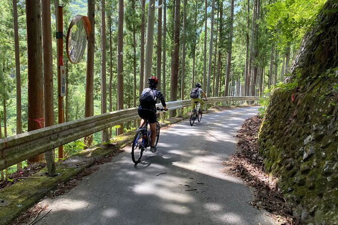Tokyos Hidden Nature Cycling Tour - Okutama Historical Road Tour - Reviews