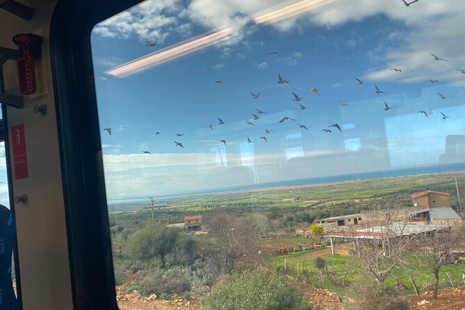 Tour of Gargano With the Train From Foggia to Rodi Garganico - Tips for Travelers