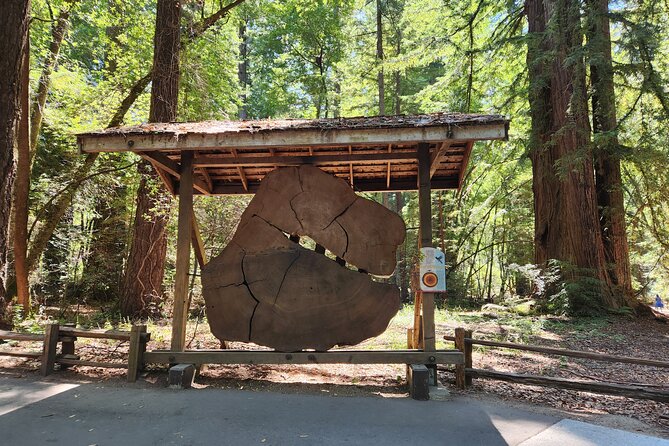 Train Ride Adventure Through Mother Natures Giant Redwoods Park - Frequently Asked Questions