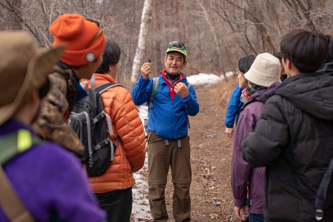 Trekking on the Mt. Asama With a Great View - Highlights of the Trekking Route