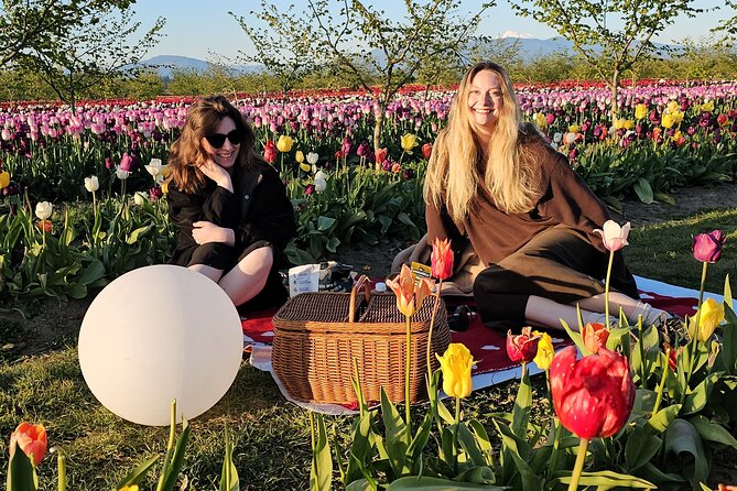 Tulip Valley Farms U Pick Experience - Food and Beverage Options