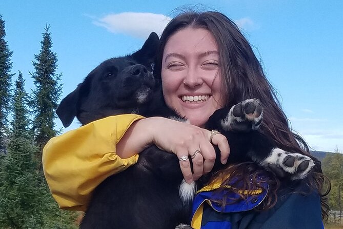 Tundra Walk With Free Running Sled Dogs - What to Expect