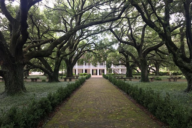 Two Plantation Tour: Oak Alley Review - Practical Considerations