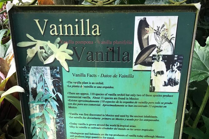 Vallarta Botanical Garden Tour With Universityeducated Naturalist - What to Bring