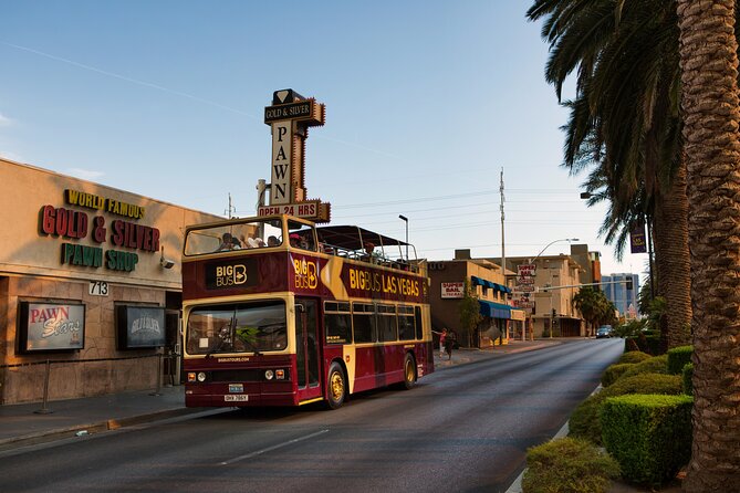 Viator Exclusive: Las Vegas Late Night Tour by Open-top Bus - Customer Feedback and Ratings