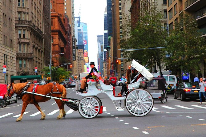 VIP Horse Carriage Ride Through Central Park (Up to 4 Adults) - Preparing for Your Ride