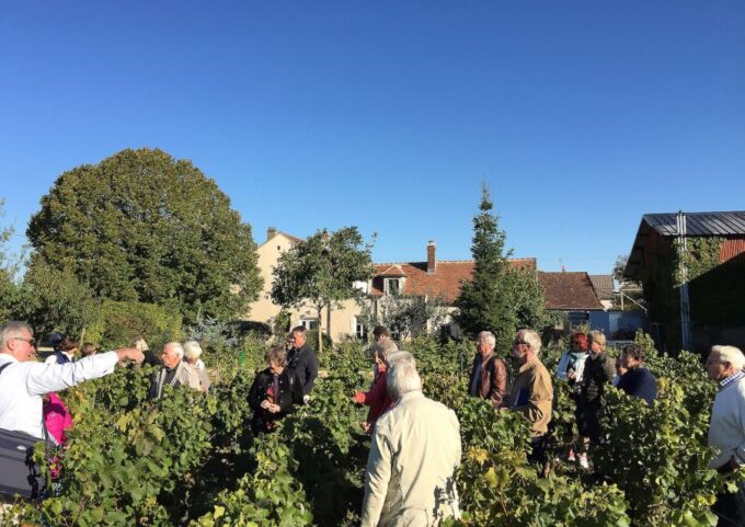 Visit and Tasting Chablis Clotilde Davenne - Accessibility and Suitability