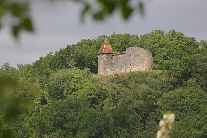 Visit of the Château Du Cros and Introduction to Tasting - Ask Away