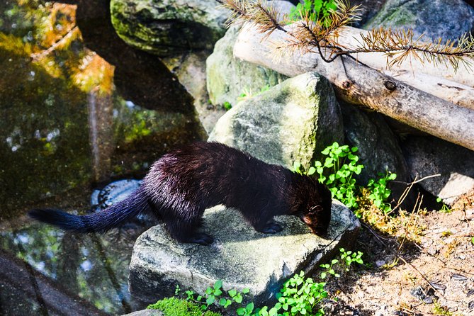 Visit Ranua Arctic Wildlife Park - Important Cancellation Policies