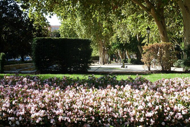 Visit to the Landscape of Light and the Prado Museum - Tips for Visitors