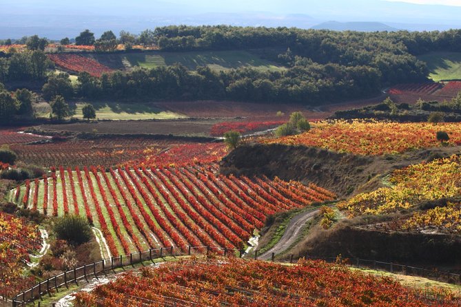 Vitoria and Añana Salt Valley Small Group Tour Lunch Included - What to Expect