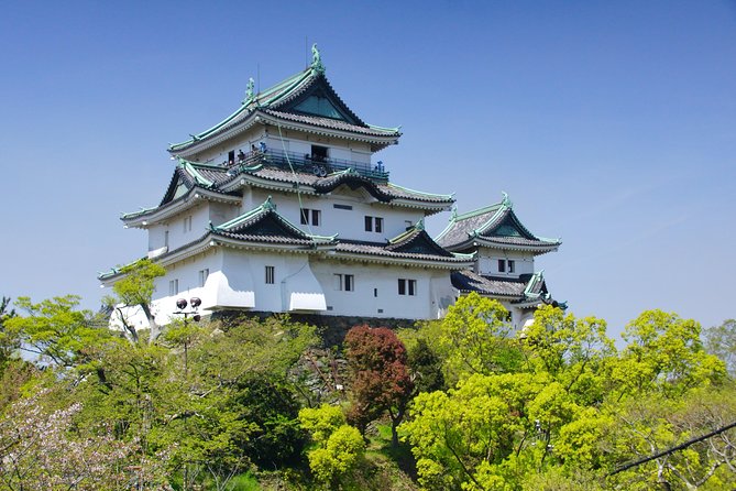Wakayama Castle Town Walking Tour - Getting to the Meeting Point