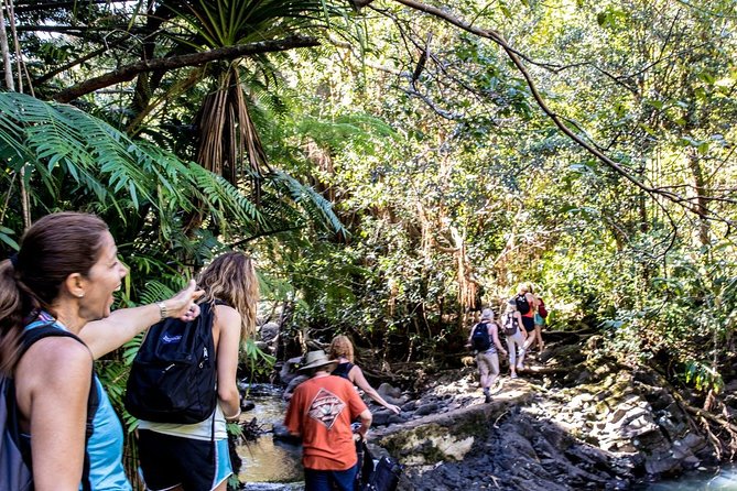 Waterfall & Rainforest Hiking Adventure With Hotel Pickup - The Tour Itinerary