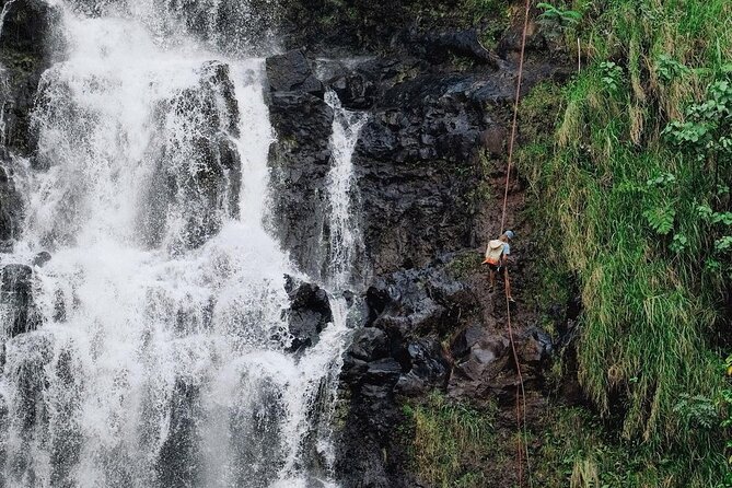 Waterfall Rappelling at Kulaniapia Falls: 120 Foot Drop, 15 Minutes From Hilo - Making the Most of Your Rappelling Tour