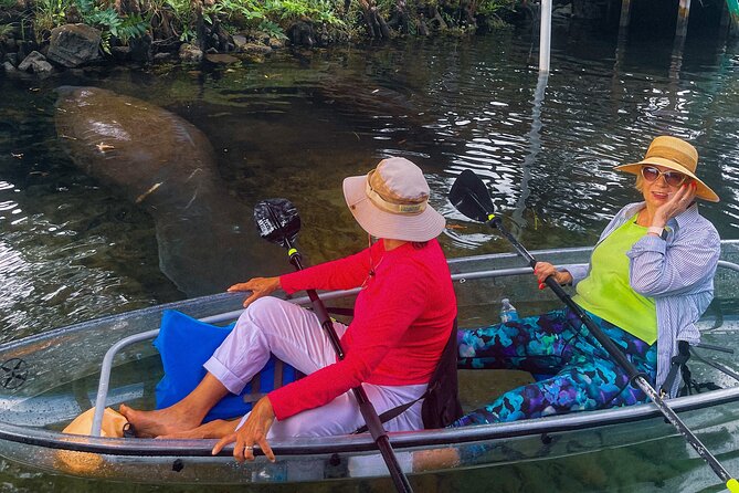 Weeki Wachee Clear Kayak Ecotours Manatee Season - November 14th-March 31st - Sustainable and Eco-Friendly Practices