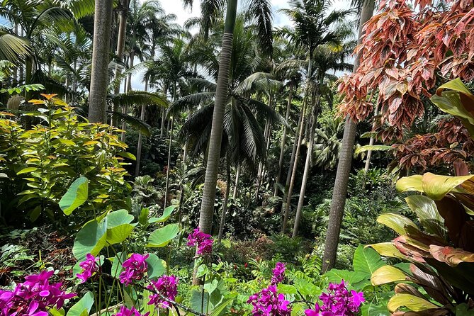 Welchman Hall Gully, Hunte's Garden and Peg Farm Family Day - Tips for a Great Day