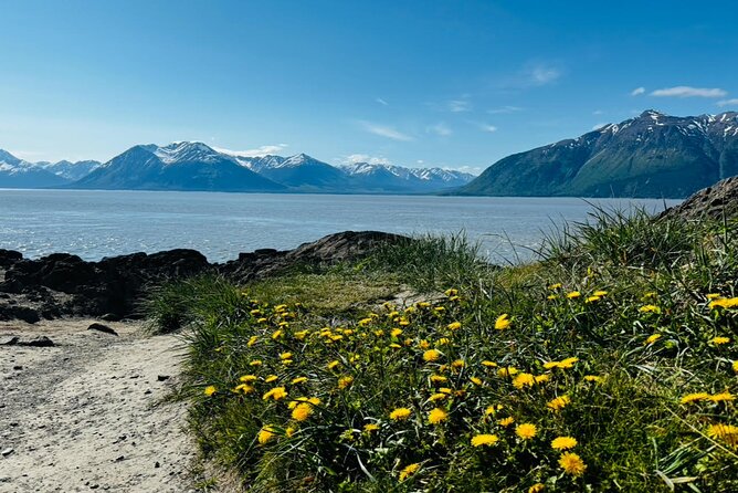 Whittier to Anchorage Land Transfer Tour - Pickup and Transportation Options