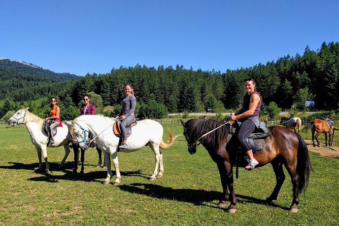 Wild Mountains & Rivers Adventure (7days-Private) - Booking & Cancellation