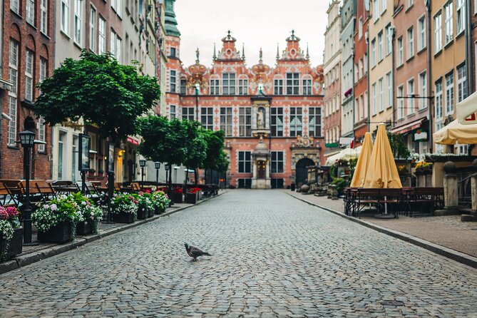 Wine and Food Tasting Tour in Gdansk Old Town - What to Expect