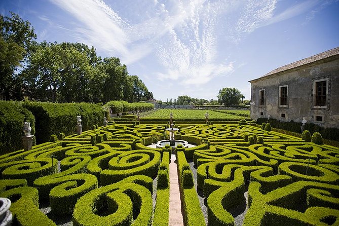 Wine Tour - Art Wine & Passion - Upgrading Your Wine Knowledge