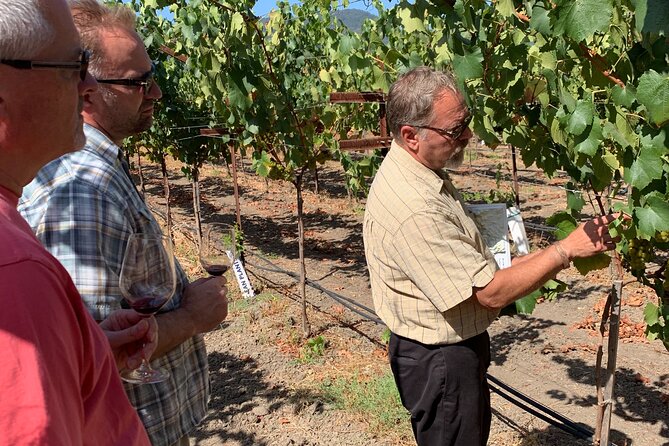 Wine Tour Pros - Napa Wine Tour: SUV Up To 6 Guests - Relaxing Journey