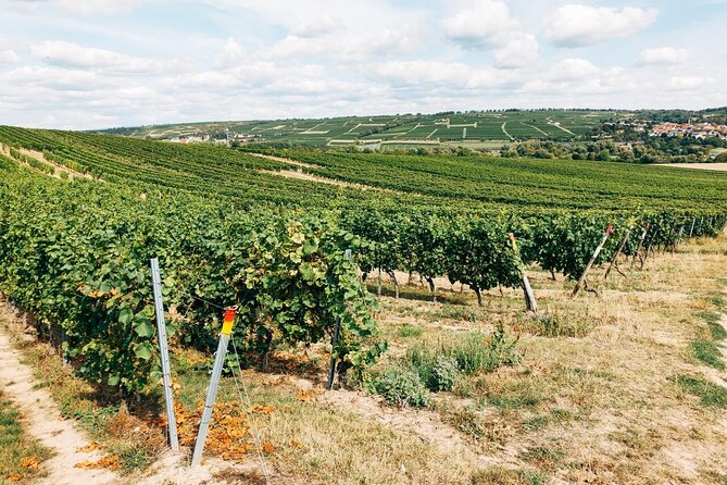 Wineries and Heritage of Areni Walking Tour - The Sum Up