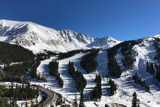 Winter Fun Transportation Review - Customer Reviews and Ratings