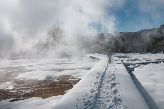 Winter Wildlife Safari Review: Experience Yellowstone's Wonders - Frequently Asked Questions