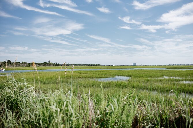 Wrightsville Beach Day Sail Private Catamaran Charter - Tips for an Enjoyable Day at Sea