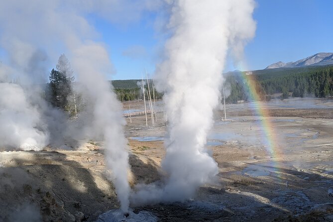 Yellowstone Grand Tour: See All Yellowstone In One Day - What to Expect on the Tour