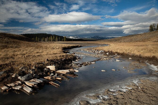 Yellowstone National Park Private Wildlife Tour - Positive Feedback and Recommendations