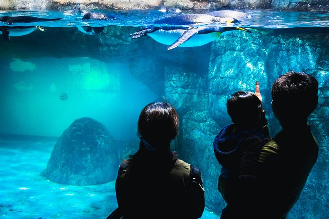 Yokohama Private Tours With Locals: 100% Personalized, See the City Unscripted - Uncover Yokohamas Rich History and Traditions