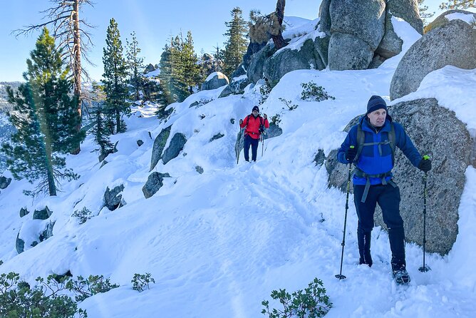 Yosemite Winter Wonderland Guided Hiking or Snowshoeing - Tips for a Memorable Yosemite Experience