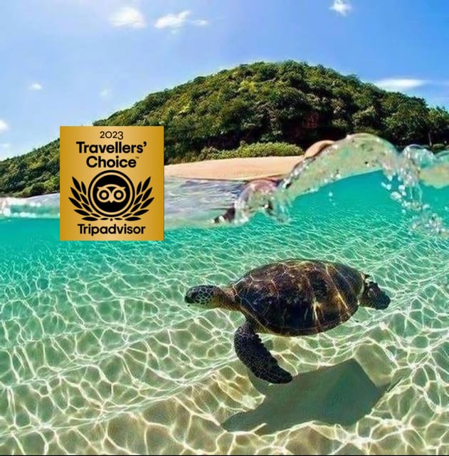 Zakynthos Private Boat: Turtles & Marathonisi Island (max5) - Booking and Availability