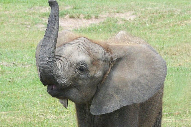 ZooTampa at Lowry Park Admission Ticket - Visitor Feedback