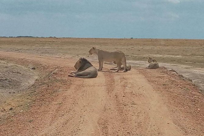 7-Day Samburu, Maasai Mara, L Nakuru, Lake Naivasha Hells Gate - Tour Overview
