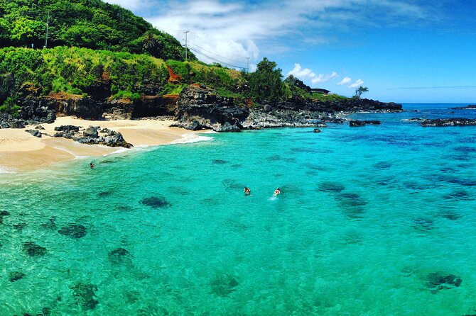1/2 Circle Island & North Shore Fun With the Surf Bus - Praise From Satisfied Customers