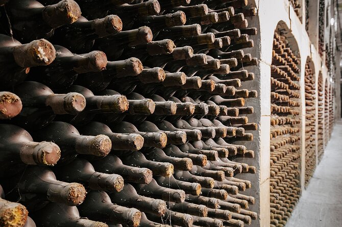 1 Day: Wine Tasting Tour to Milesti Mici and Cricova Cellar From Moldova - What to Expect on the Tour