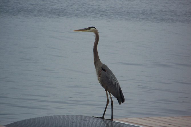 1000 Islands Canada (No Passports Required, Departing From the US - Frequently Asked Questions