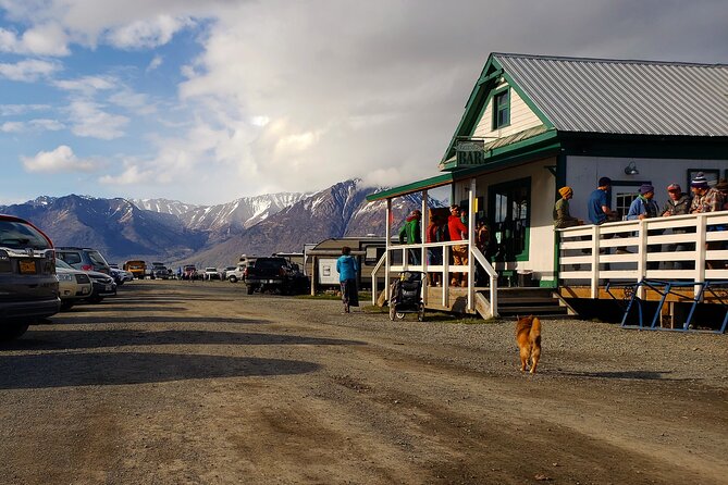11 Day Grand Alaska Highlights Tour Review - The Sum Up