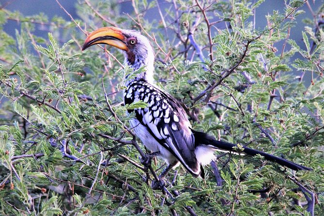 11 Days Aberdares, Samburu, Naivasha, Masai Mara & Diani Luxury Kenya Holiday - Frequently Asked Questions