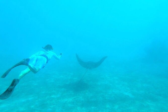 2 ½ - Hour Guided Snorkel Tour of Phil Foster Park, Free Videos! - Memorable Experiences