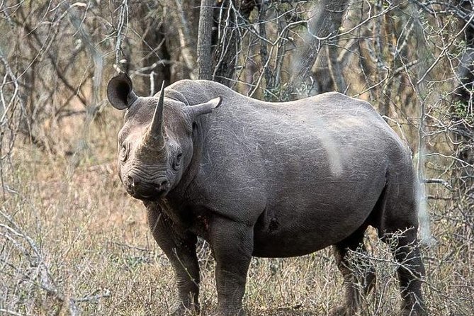 2 Day Safari Isimangaliso Wetland Park & Hluhluwe Imfolozi From Durban - Frequently Asked Questions