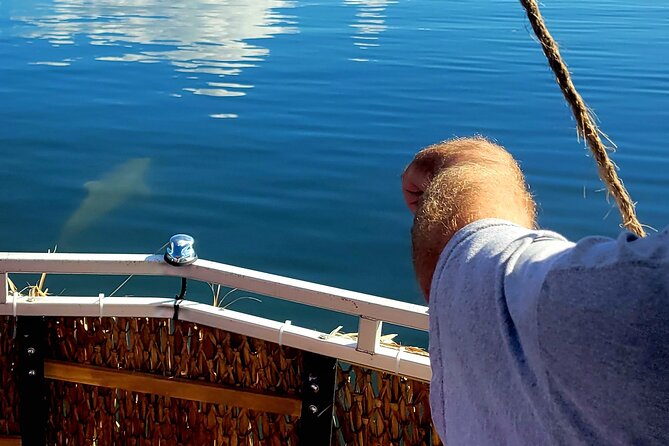 2 Hour Dolphin Sightseeing Tour in Melbourne Florida - Memorable Wildlife Encounters