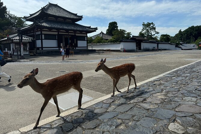 2-Hour Nara: Discover Every Bit of Tohdaiji-Temple Private Tour - Discovering the Temples Unique Features